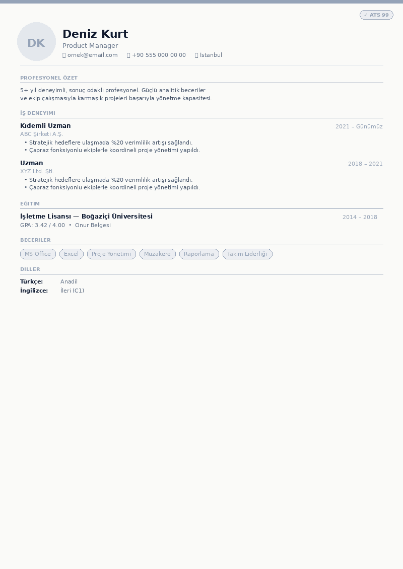 Minimal / Sade CV önizleme